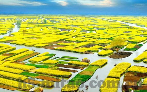 91糖心视频app下载-多重诱惑，谨慎选择——91糖心视频app下载的背后考量