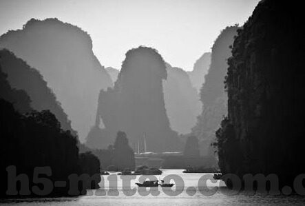 97在线成人视频-探索97在线成人视频，网络时代下的信息与责任