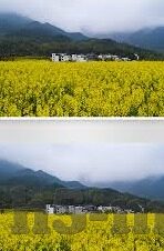 国产麻豆剧果冻传媒免费观看-探索国产麻豆剧，果冻传媒的另类魅力