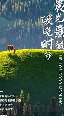 蜜桃传媒av免费观看麻豆-真实的影像魅力，蜜桃传媒麻豆的免费观看探索