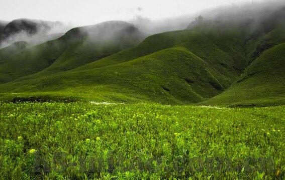 糖心app官方下载苹果-体验自我升级，探索糖心APP的独特魅力与官方下载秘诀（限苹果系统用户）
